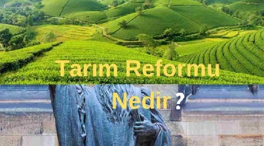 Tarım Reformu Nedir | Tarım ve Toprak Reformu