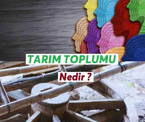 Tarım Toplumu Nedir