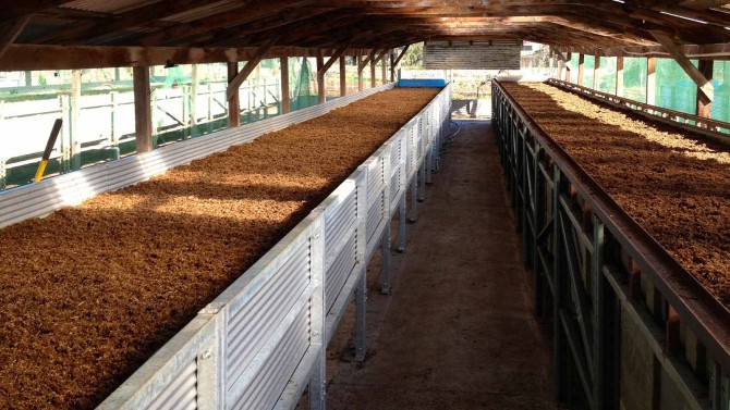 solucan-gübresi-bayilik