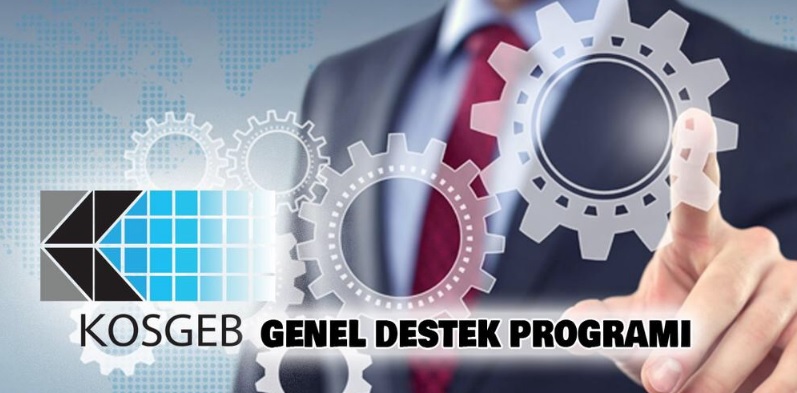 KOSGEB Kredi ve Hibe Şartları