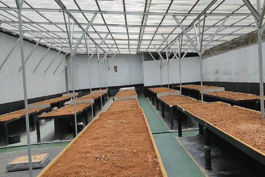 solucan-gubresi-uretim-yeri-nasil-olmalidir