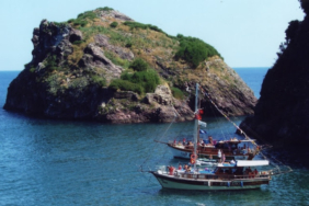 ordu-5337