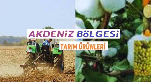 Akdeniz Bölgesi Tarım Ürünleri