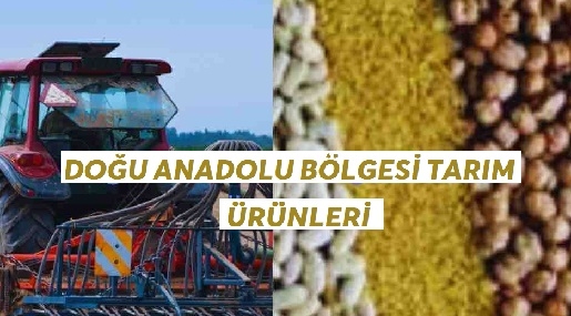 Doğu Anadolu Bölgesi Tarım Ürünleri