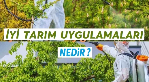 İyi Tarım Uygulamaları Nedir | Tarım Uygulamaları Hakkında Detaylar