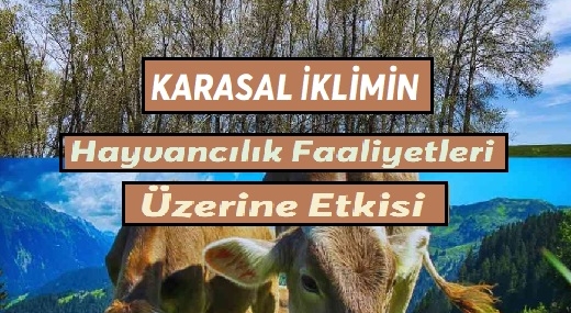 Karasal İklimin Hayvancılık Faaliyetleri Üzerindeki Etkisi