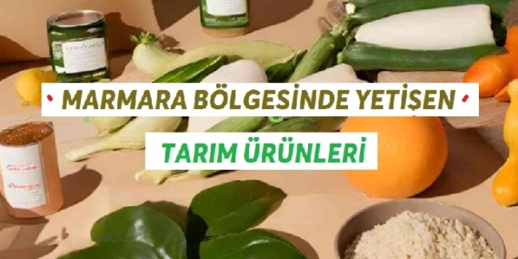 Marmara Bölgesinde Yetişen Tarım Ürünleri