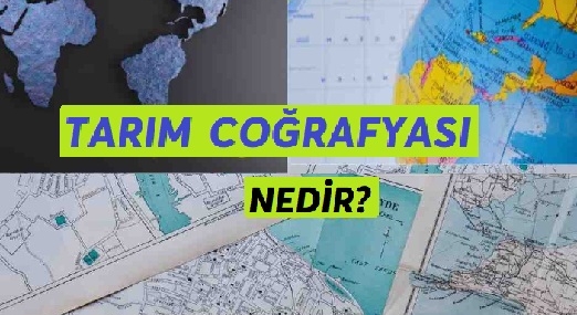 Tarım Coğrafyası Nedir | Toprağın ve İklimin Rolü