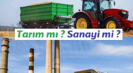 Tarım mı Sanayi mi | İşte Bu Sorunun Cevabı