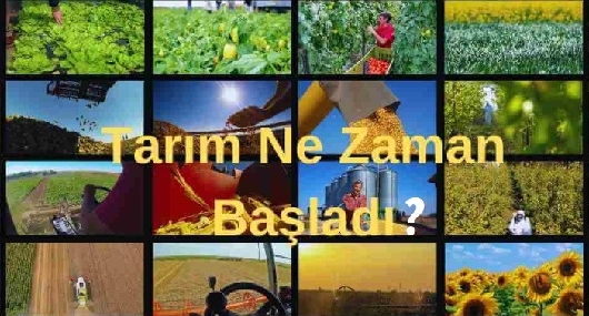 Tarım Ne Zaman Başladı, Tarihsel Gelişimi