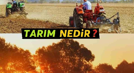 Tarım Nedir | Organik Tarım Nedir | Cevaplar