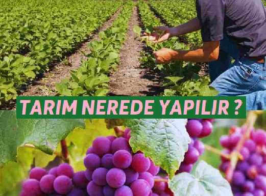 Tarım nerede yapılır