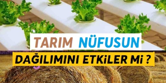 Tarım Nüfus Dağılımını Etkiler Mi ?