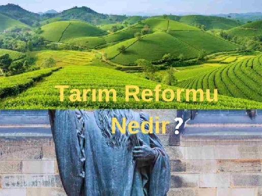 Tarım Reformu