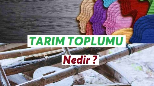 Tarım Toplumu Nedir | Tarım Toplumu Hakkında Bilgiler