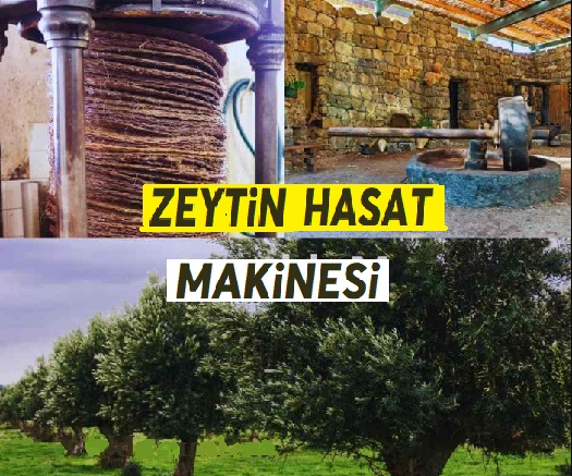 Zeytin Hasat Makinesi