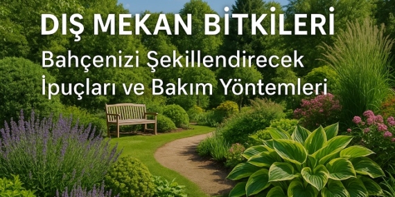 Dış Mekan Bitkileri: Bahçenizi Şekillendirecek İpuçları ve Bakım Yöntemleri