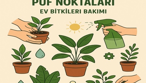 Yeşil Dostlarınızı Mutlu Etmenin Püf Noktaları – Ev Bitkileri Bakımı