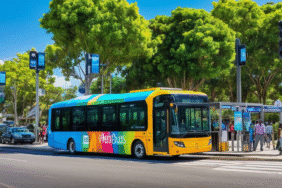 Yeni Otobüs Hatları ve Rotalar