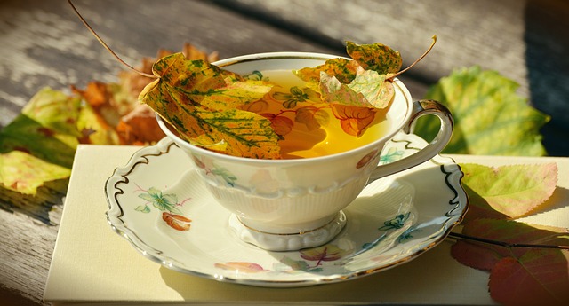 Çay Ocağı