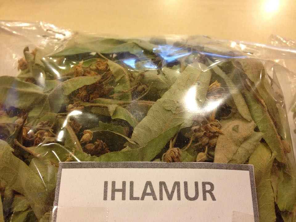 ıhlamur