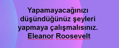 girişimcilik-sözleri6