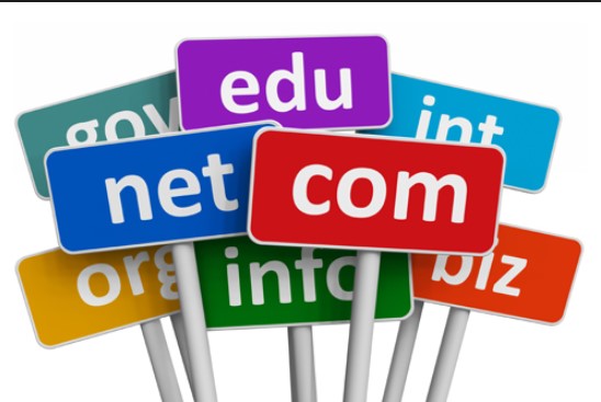 domain web site