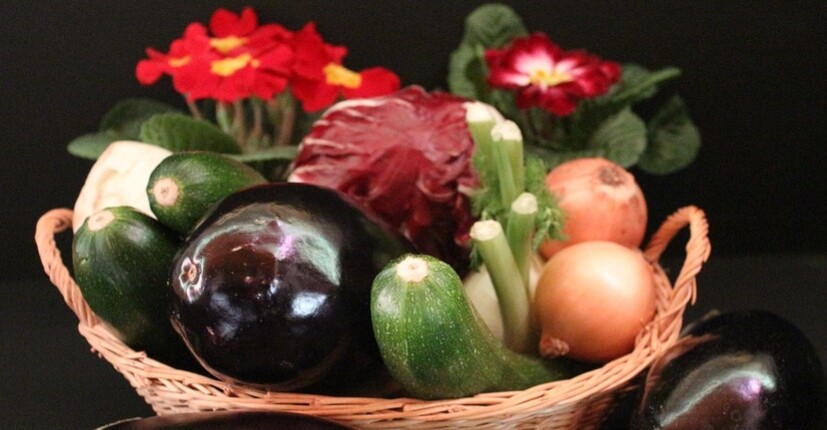 vegan iş fikirleri