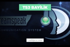 Ts3 Bayilik