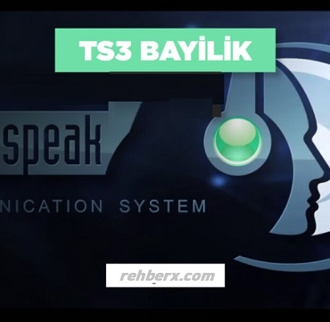 Ts3 Bayilik