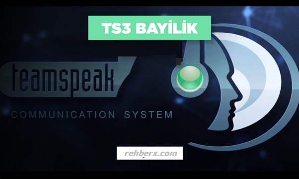 Ts3 Bayilik