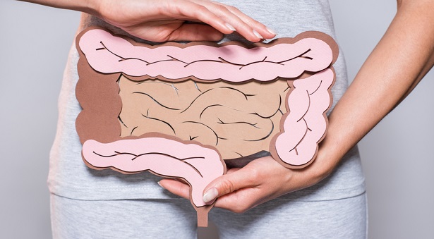 Bağırsaklar