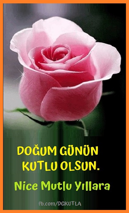 Pembe gül resimli doğum günü kart